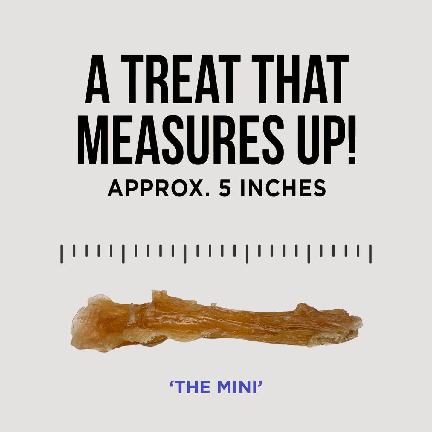 The Only Beef Tendon Chews Dogs Need: Regular - 10 count