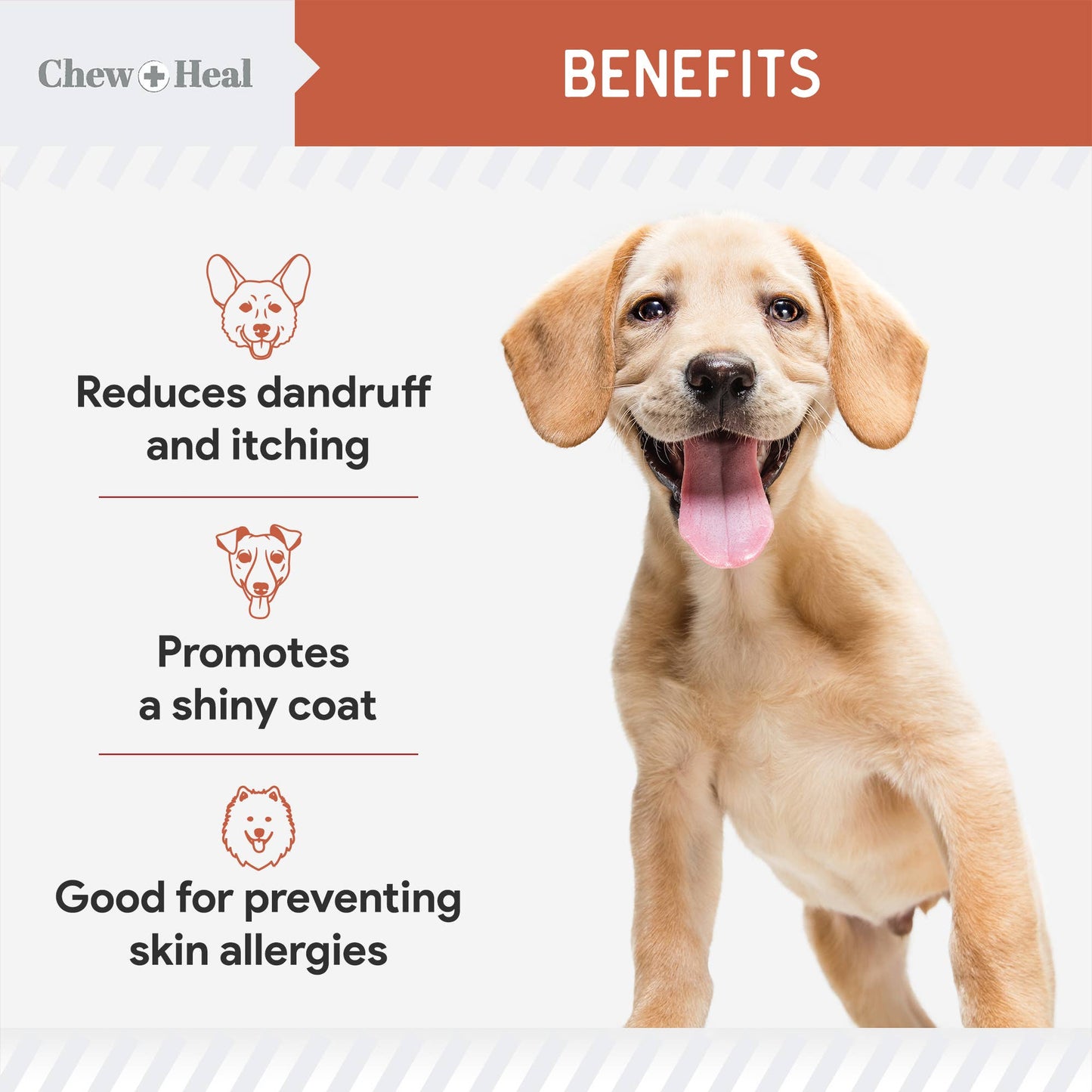 Salmon Flavored Omega Skin + Coat Soft Chews, 180 Count