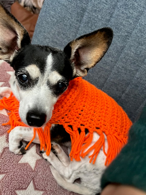 Hand Knitted Dog Poncho