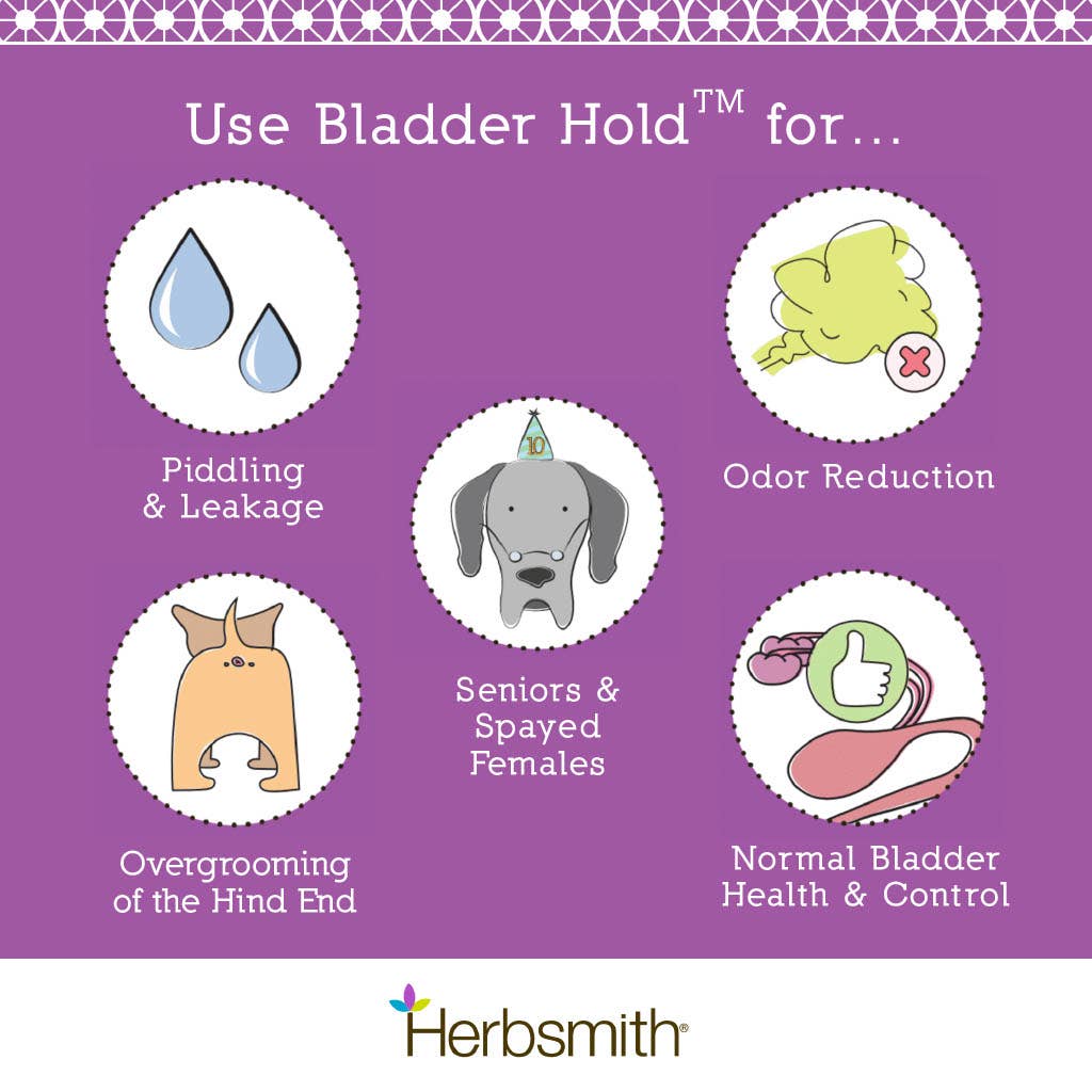Bladder Hold - Urinary Support for Spayed & Senior Dogs: 150g Powder