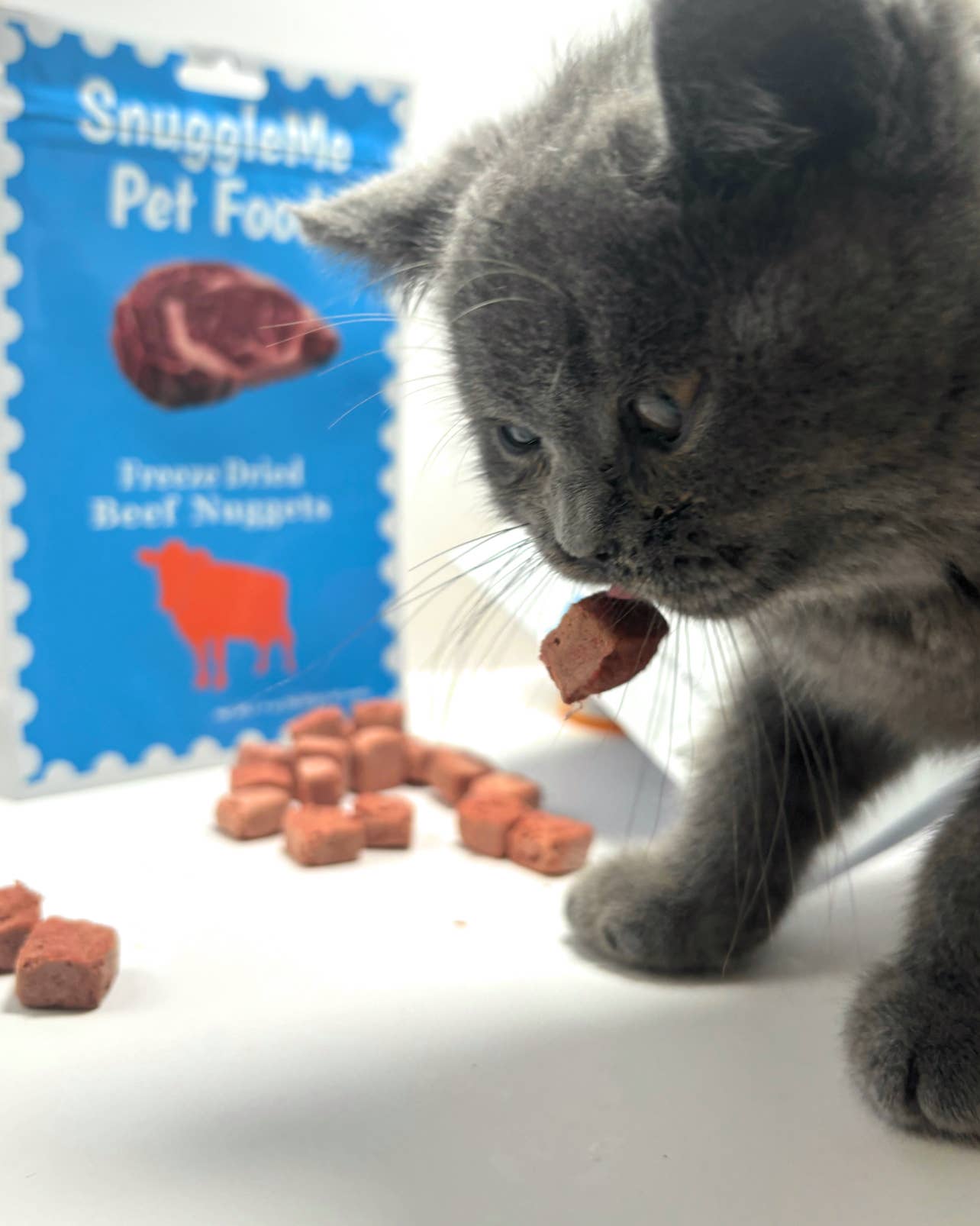 Snuggleme Freeze Dried Beef nuggets
