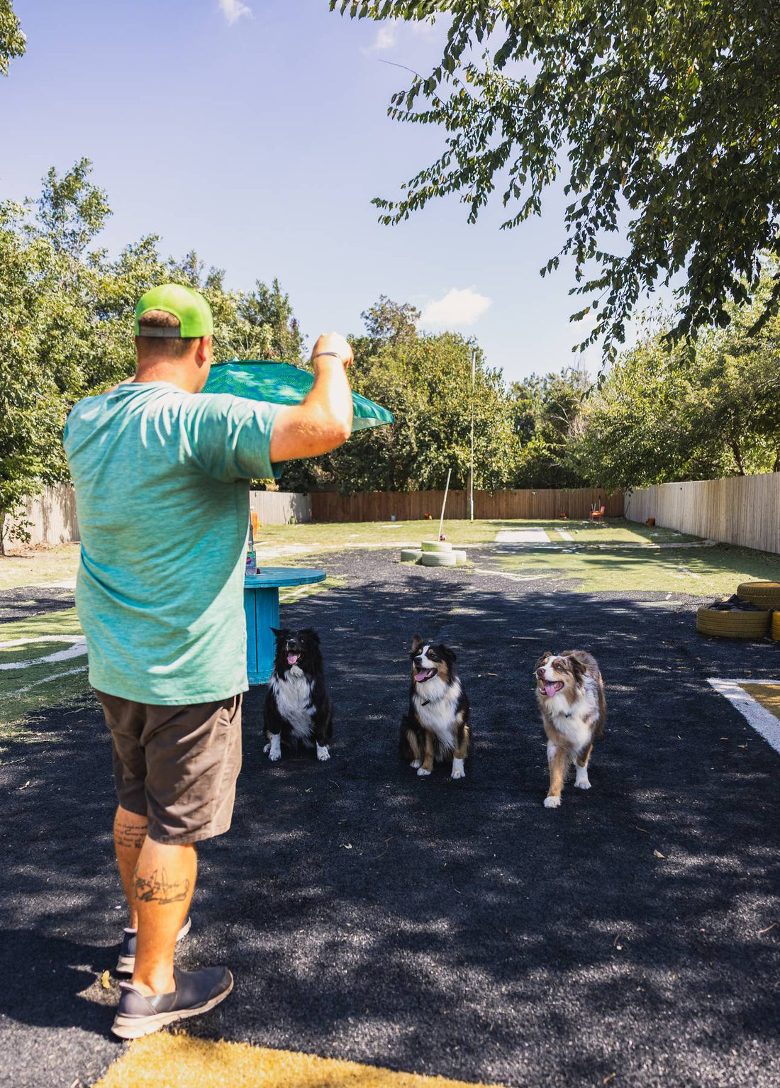 The Importance of Dog Parks: A Thoughtful Perspective