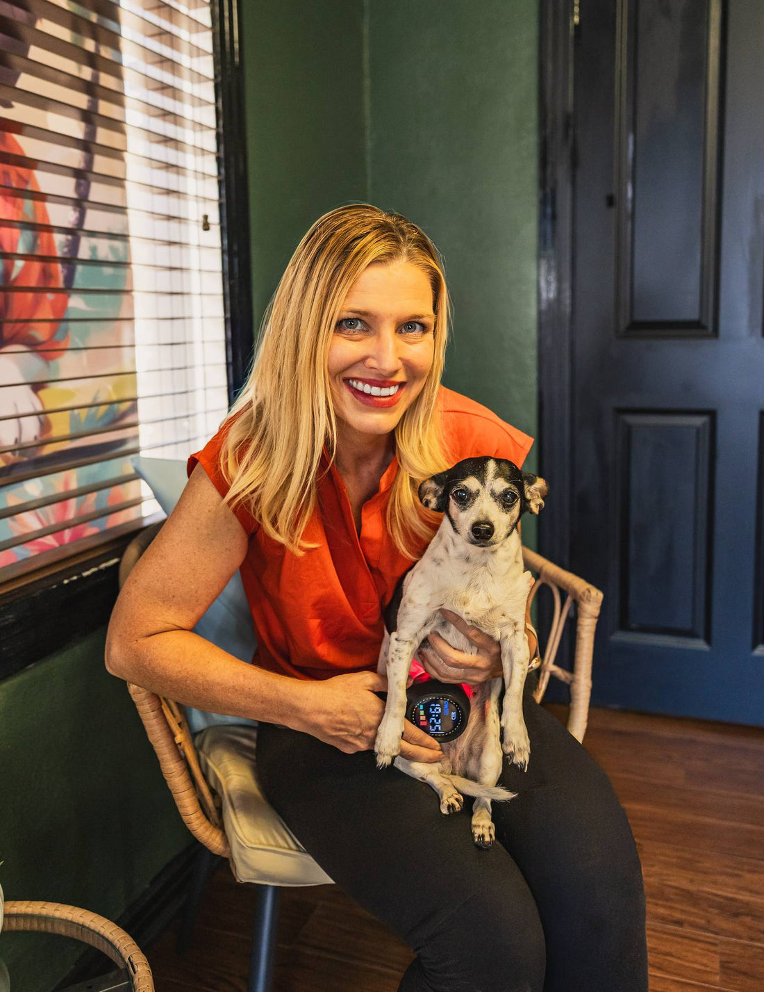 Canine Cold Laser Therapy: A Revolutionary Approach to Pet Care