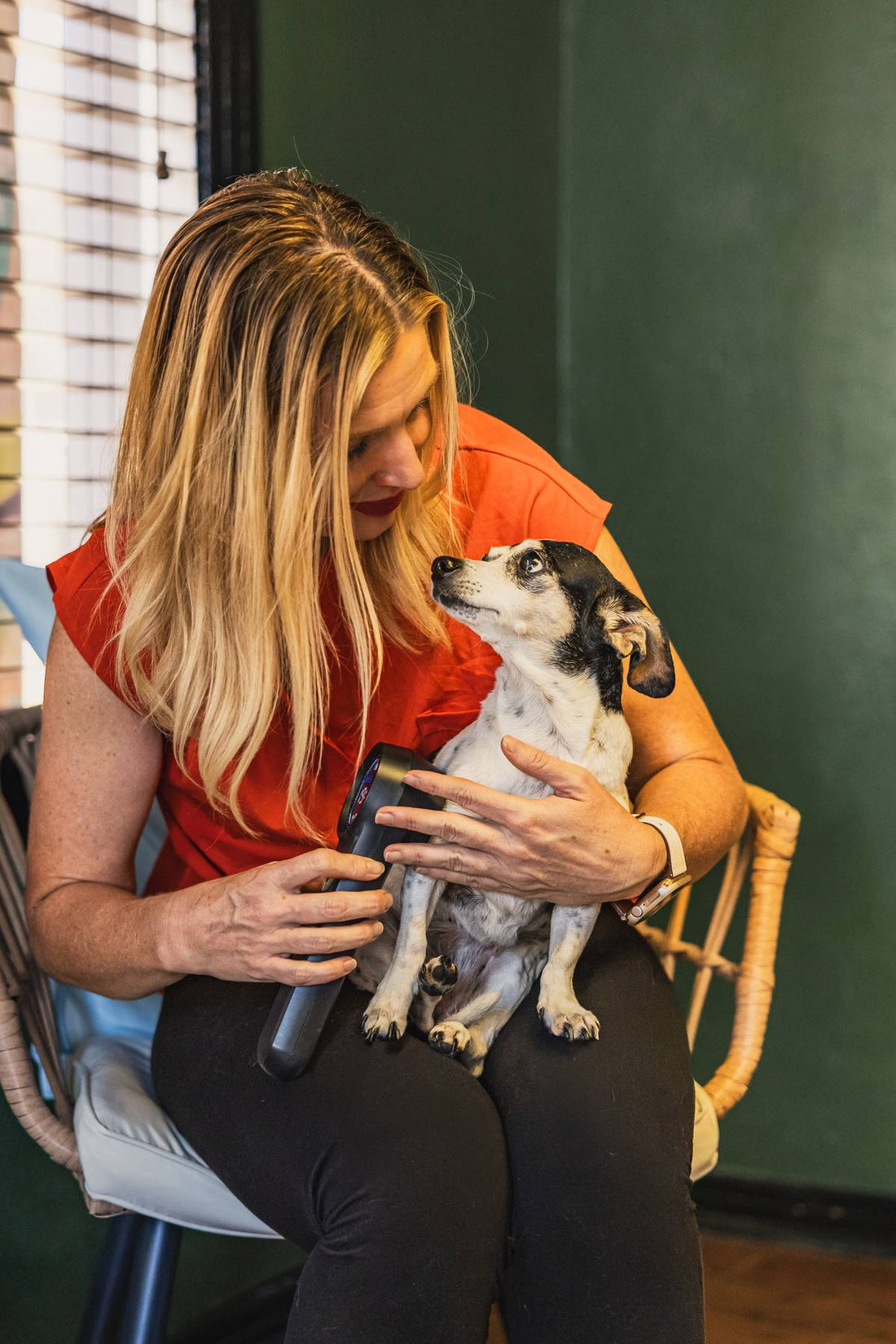 Unlocking the Healing Power of Red-Light Therapy for Dogs: