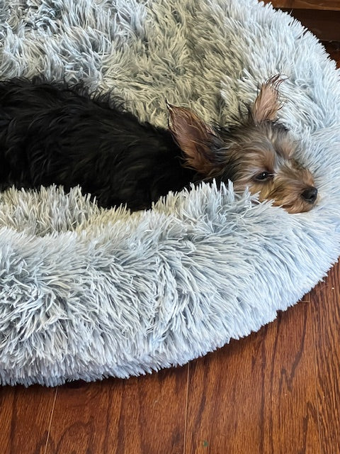How to make your fur baby extra cozy this winter!