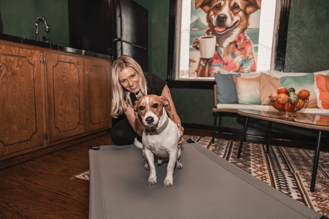 The Benefits of Regular Massage for Your Dog