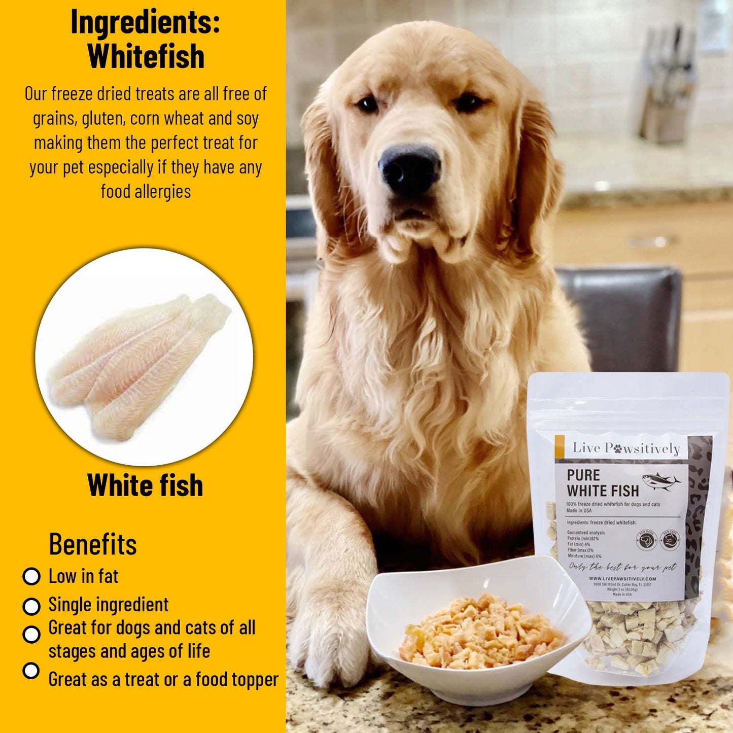 White Fish Freeze Dried Dog/Cat Treat 3oz