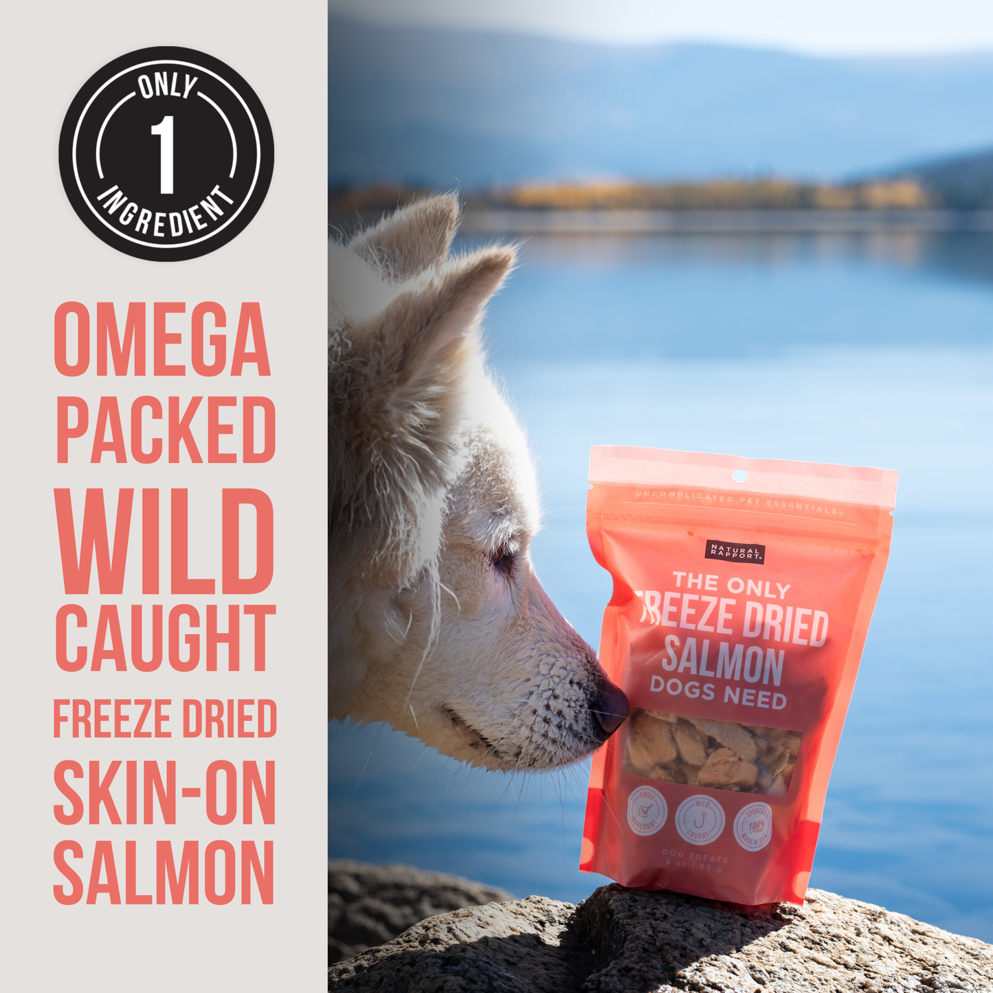 The Only Freeze Dried Salmon Dogs Need: 3 ounce