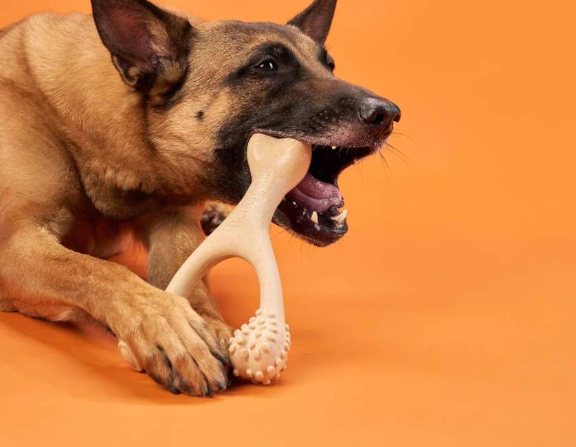 BetterBone Hard Beef Dog Chew Toy Mini