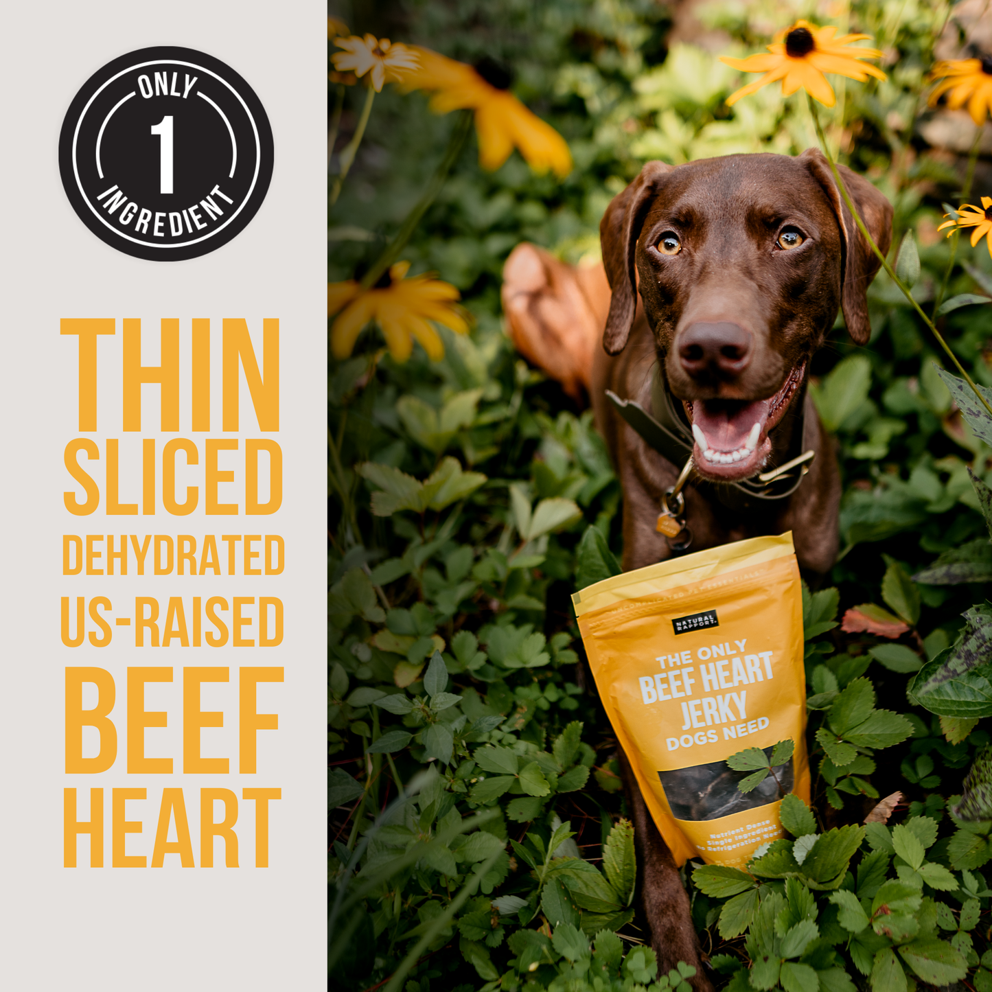 The Only Dehydrated Beef Heart Jerky Dogs Need: 4 oz bag