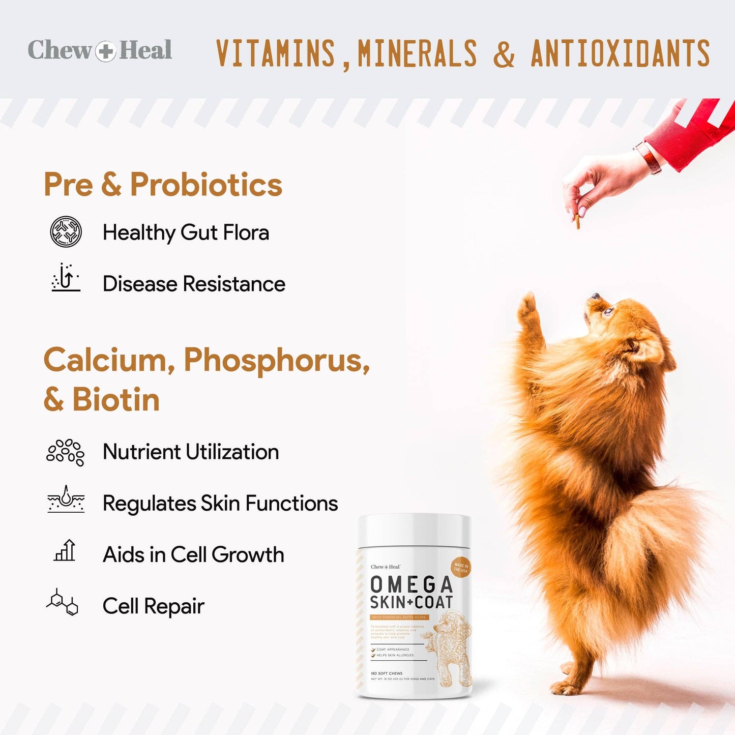 Omega Skin & Coat Supplement: Single