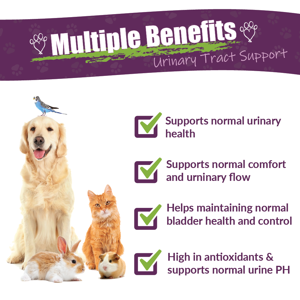 UTR | Pet Supplement: 1oz