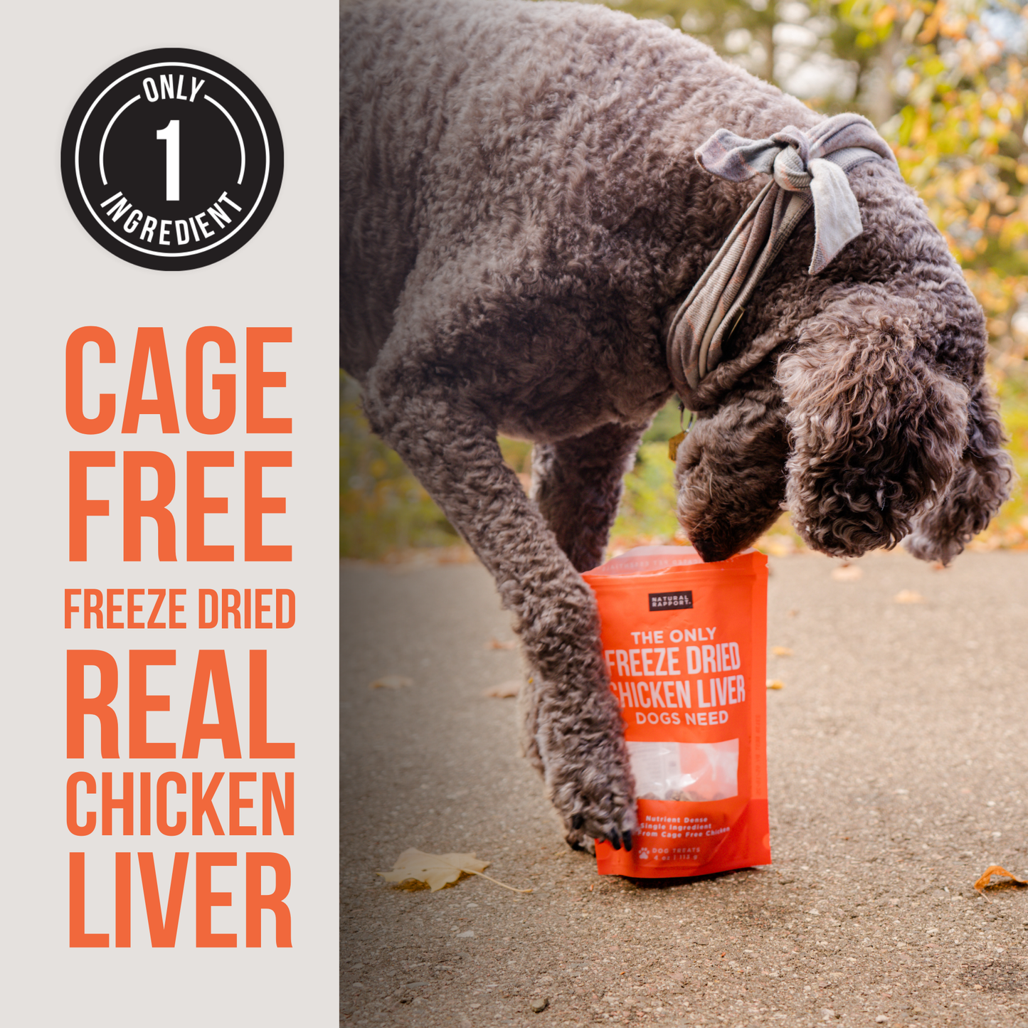 The Only Freeze Dried Chicken Liver Dogs Need: 8 oz bag