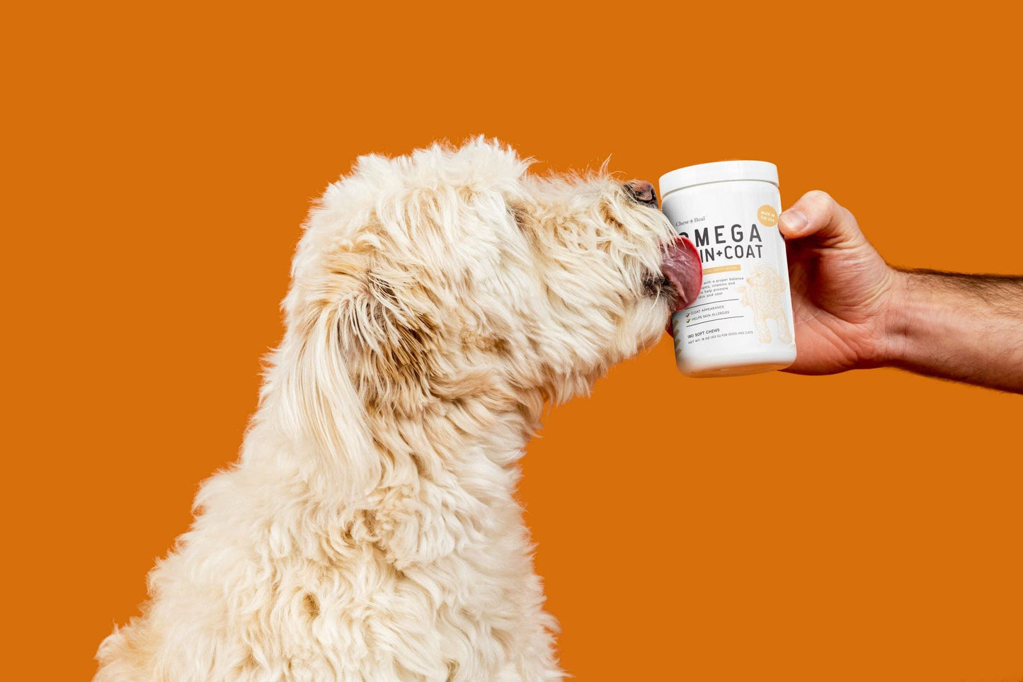 Omega Skin & Coat Supplement: Single