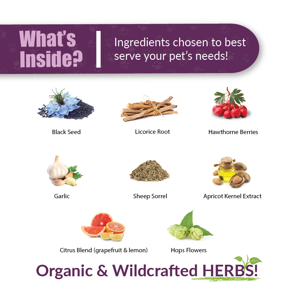 HWF | Dog Supplement: 4oz