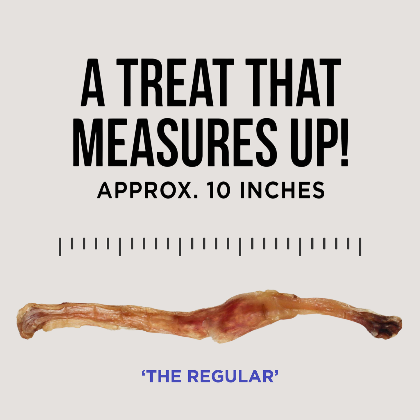 The Only Beef Tendon Chews Dogs Need: Regular - 10 count