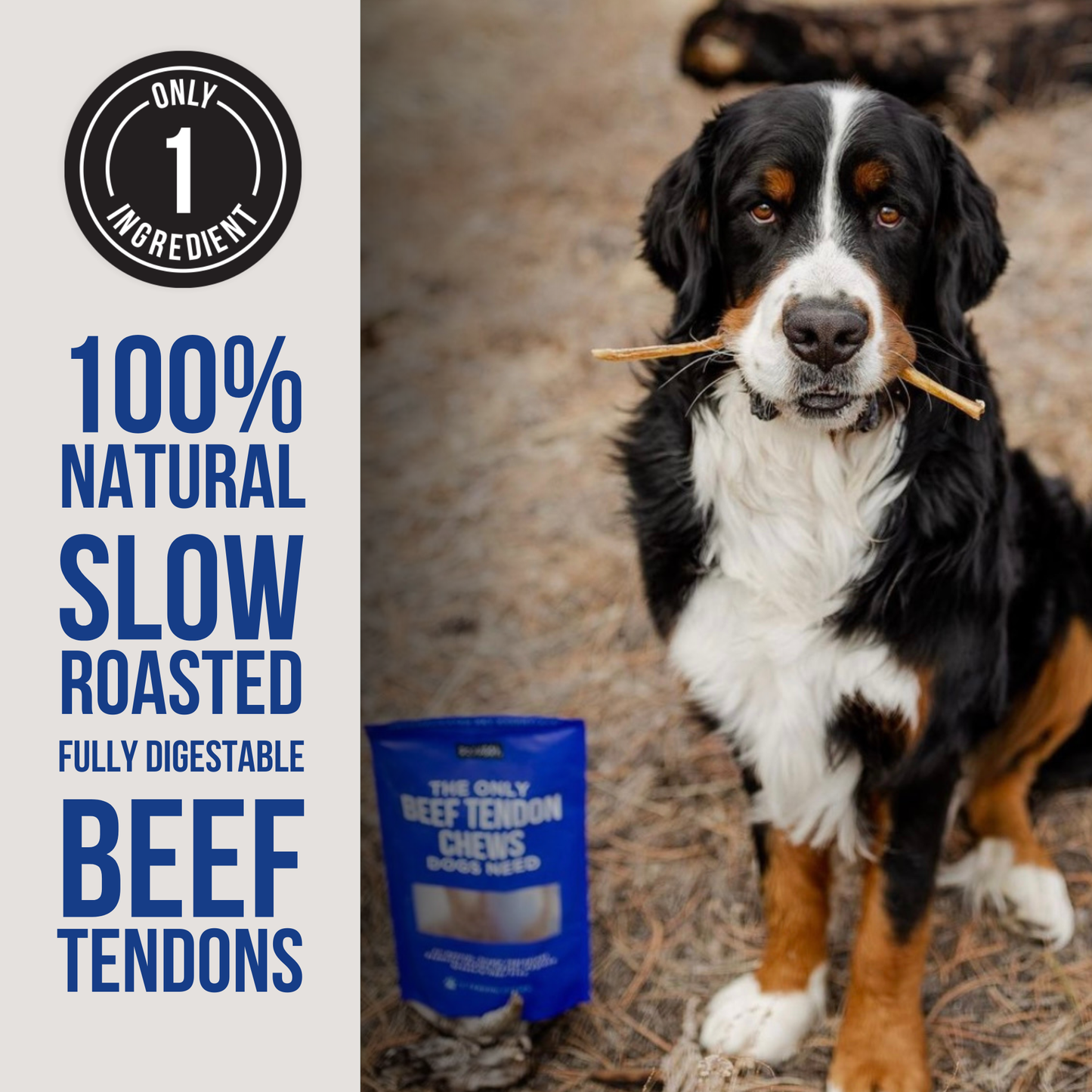 The Only Beef Tendon Chews Dogs Need: Regular - 10 count