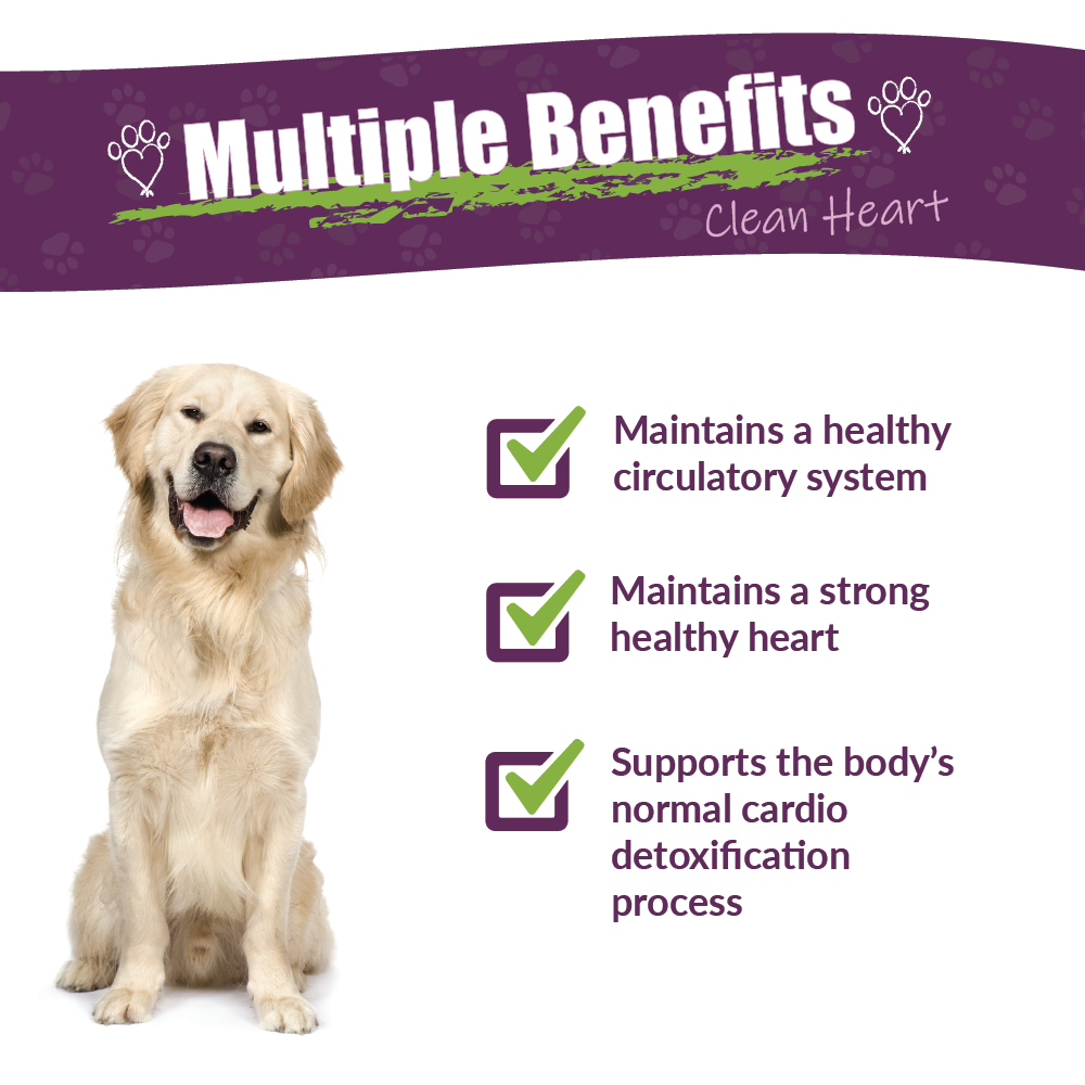 HWF | Dog Supplement: 4oz