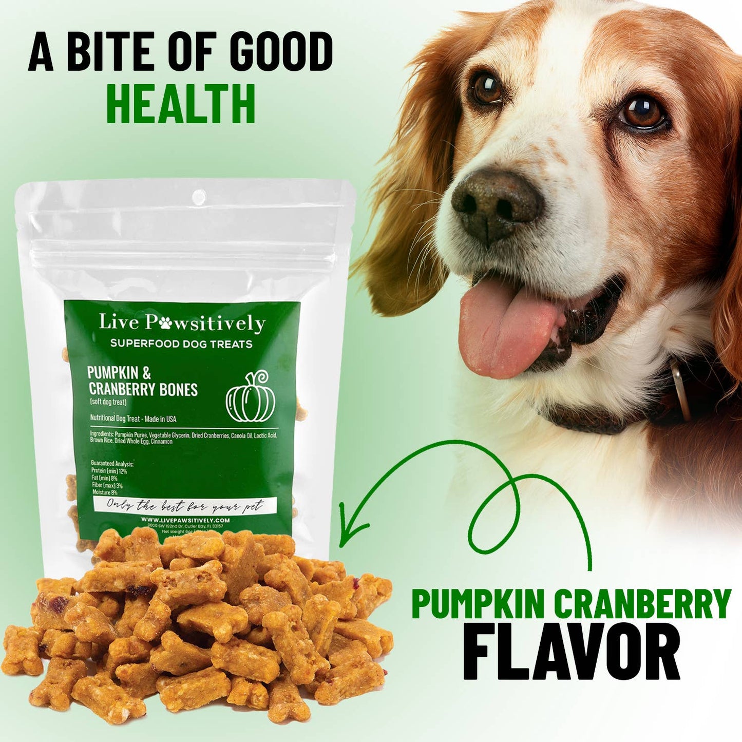Pumpkin and Cranberry limited ingredient dog treat