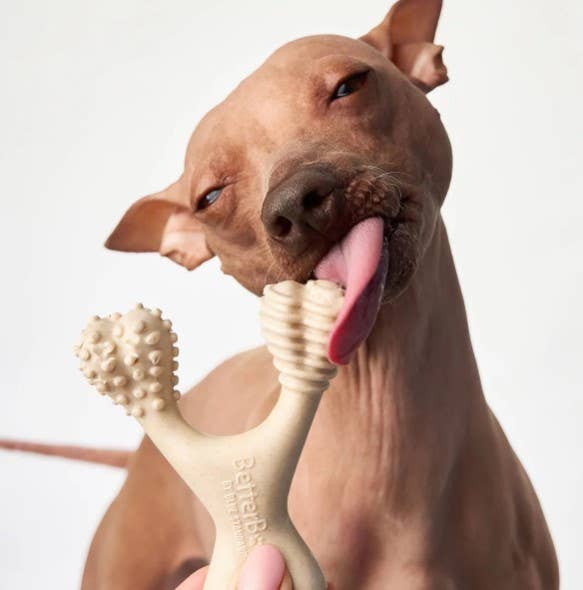 BetterBone Medium Beef Dog Chew Toy Small