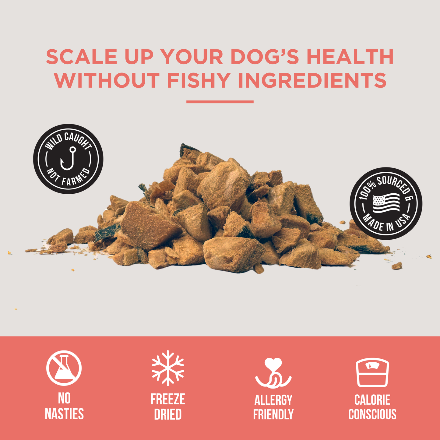 The Only Freeze Dried Salmon Dogs Need: 3 ounce