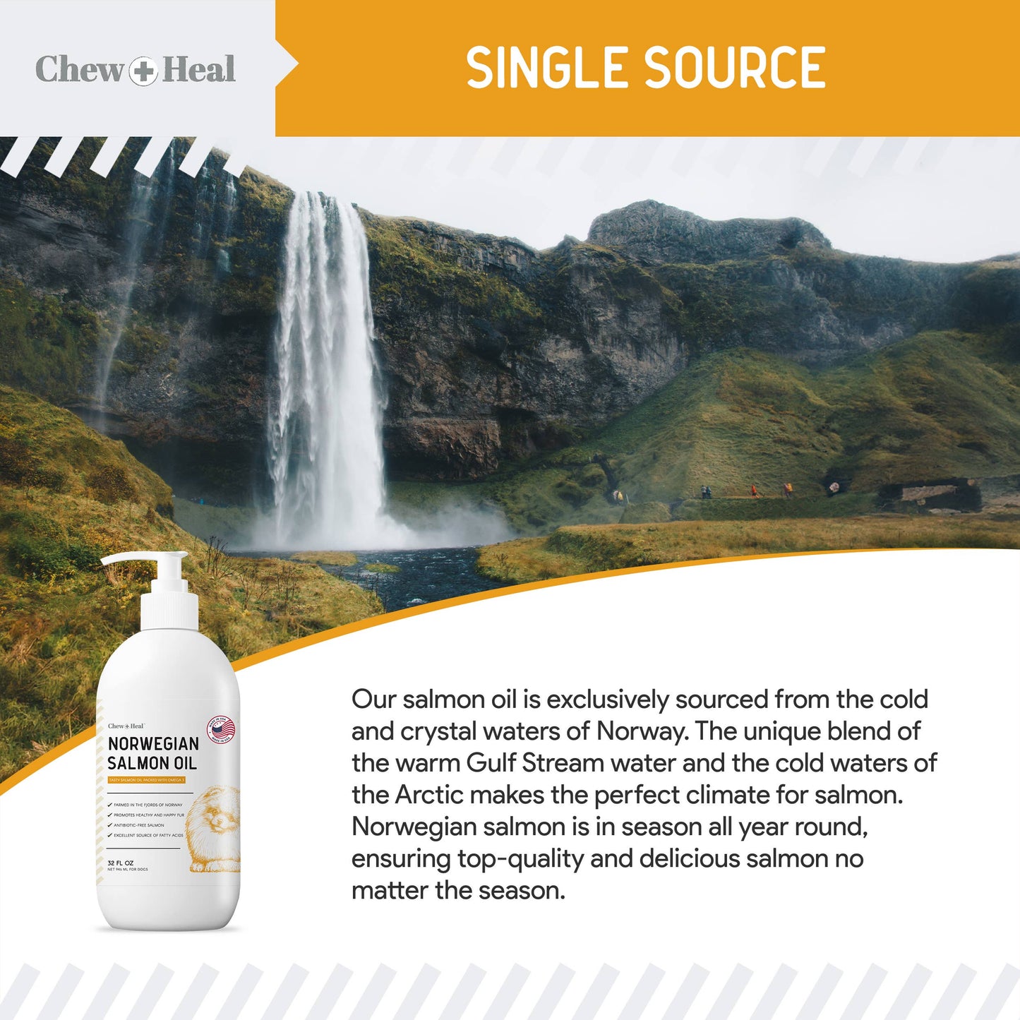 Norwegian Salmon Oil Skin & Coat Supplement for Dogs & Cats: 32oz