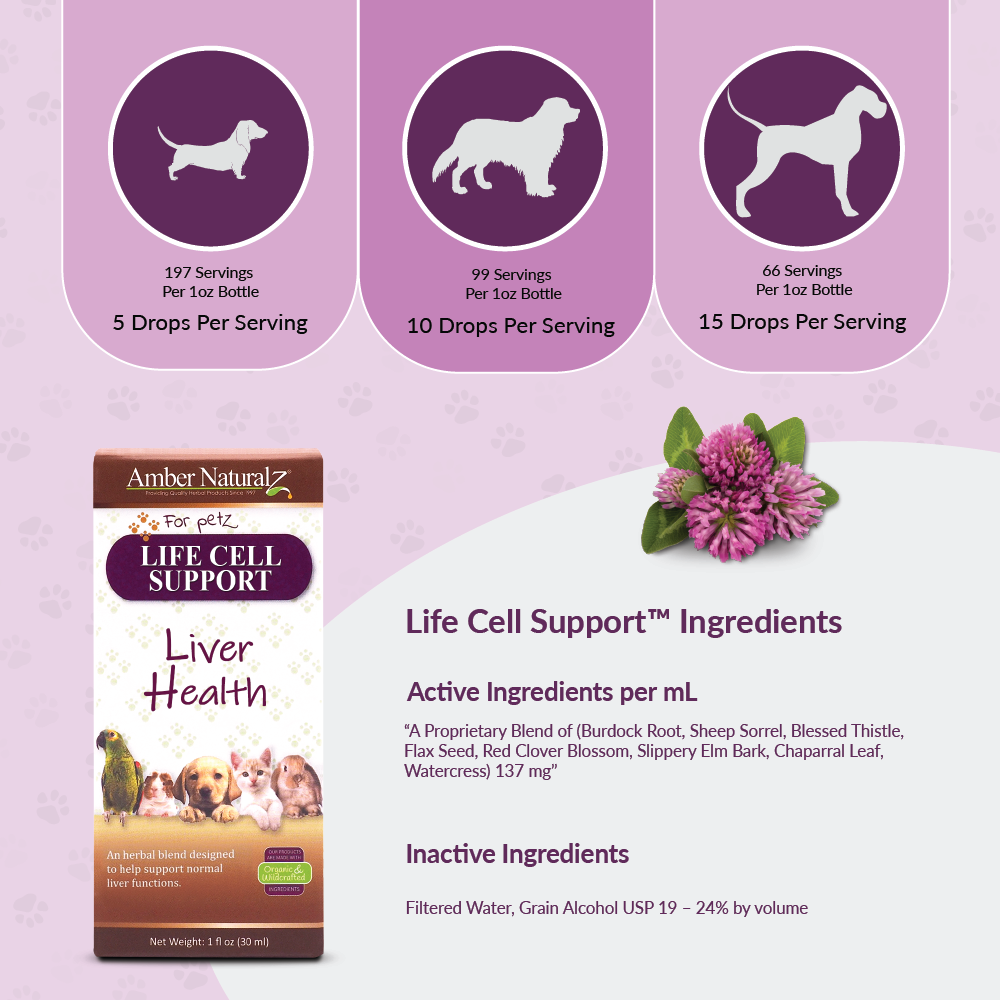 Life Cell Support | Pet Supplement: 1oz