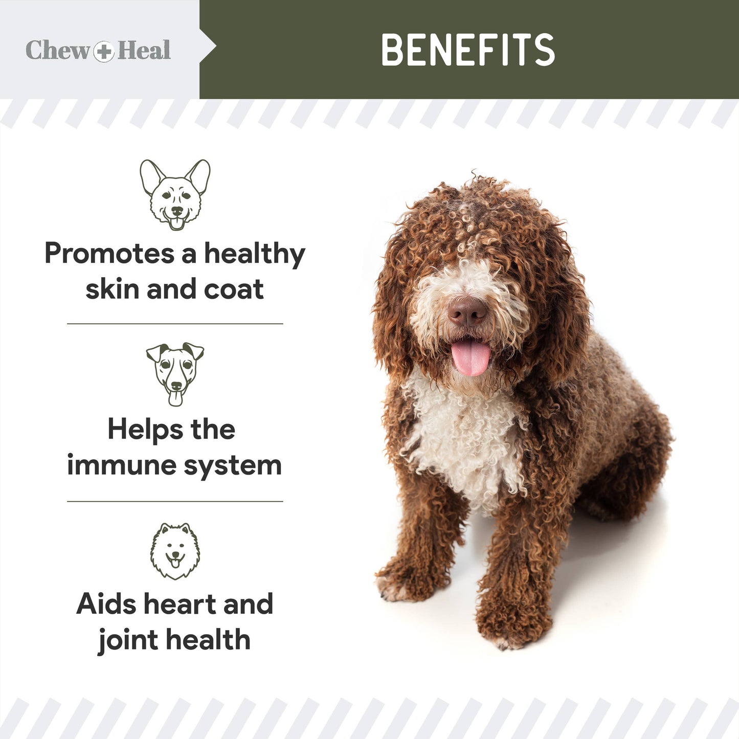 Wild Caught Cod Liver Oil for Dogs, Single Ingredient - 8oz