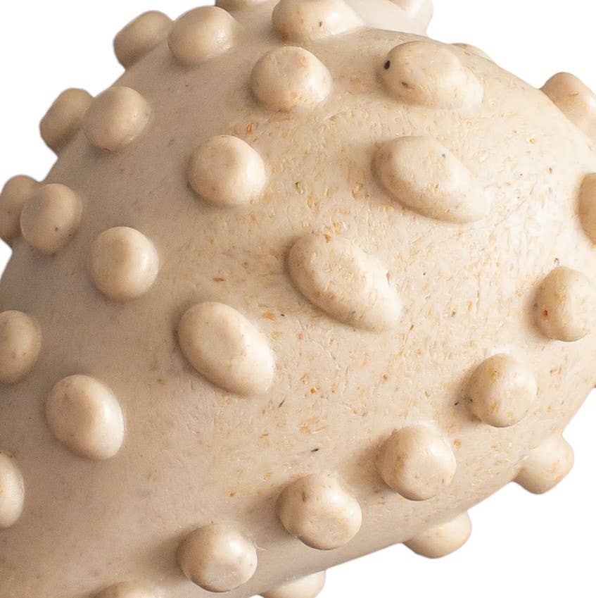 BetterBone Hard Beef Dog Chew Toy Mini
