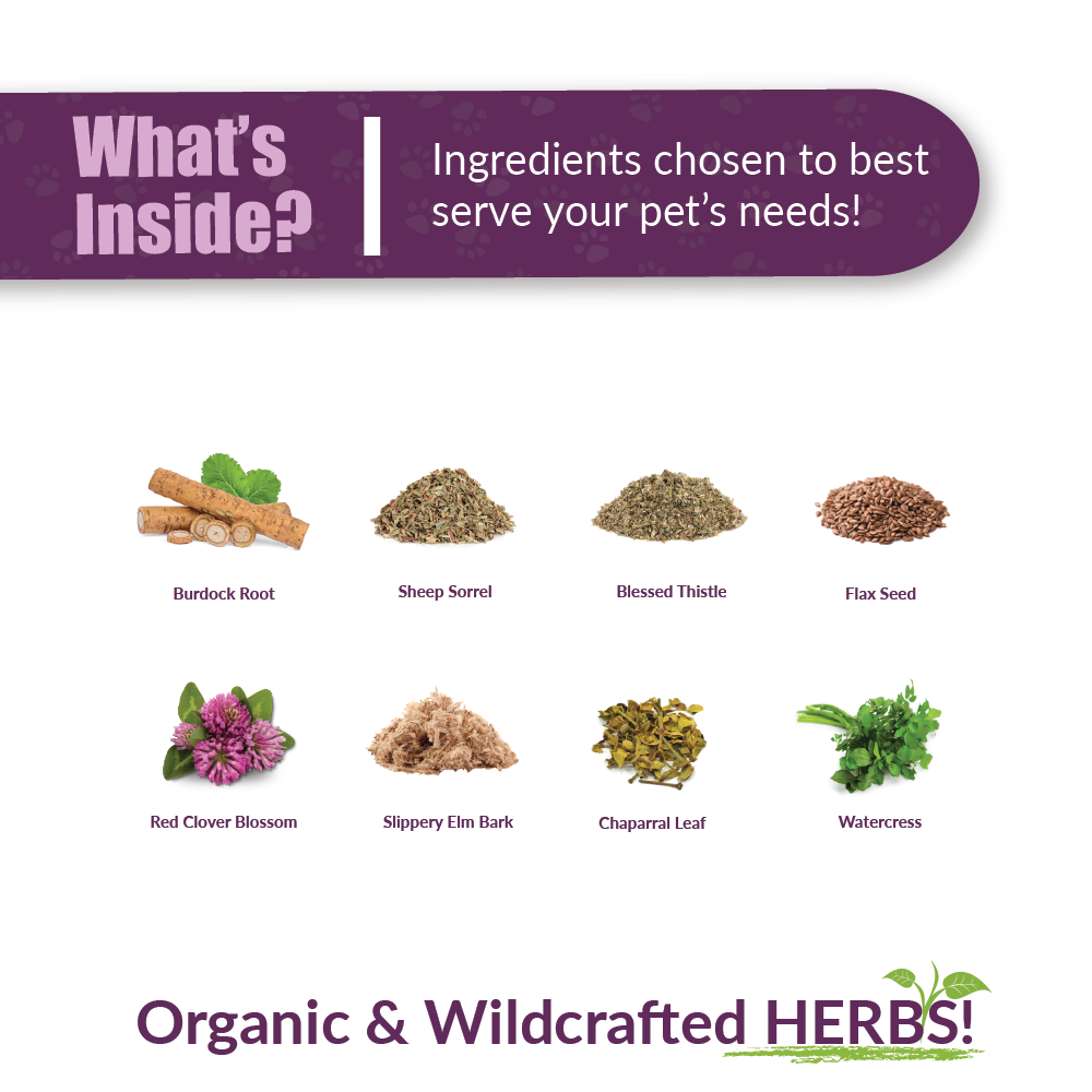 Life Cell Support | Pet Supplement: 1oz