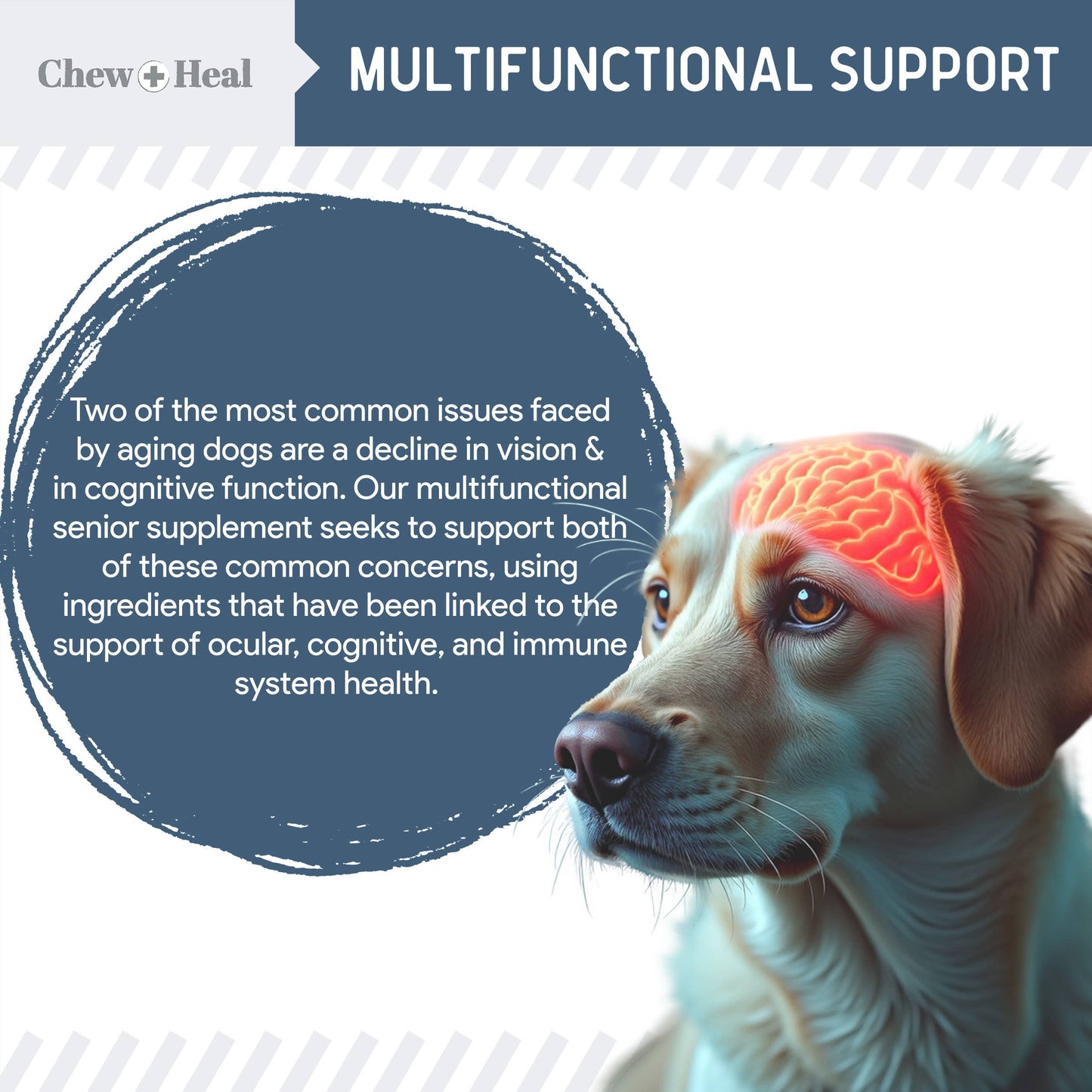 Advanced Senior Vision + Cognition Soft Chews for Dogs: Large