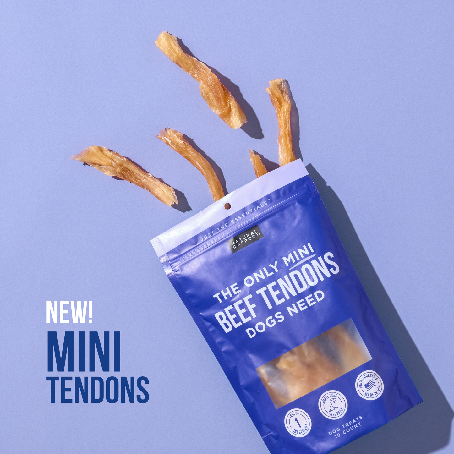 The Only Beef Tendon Chews Dogs Need: Regular - 10 count
