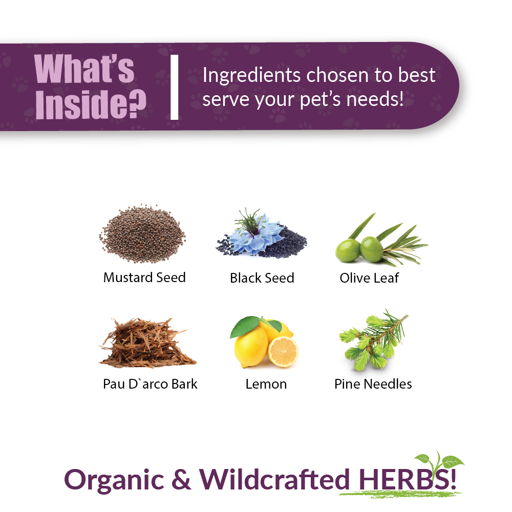 UTR | Pet Supplement: 1oz