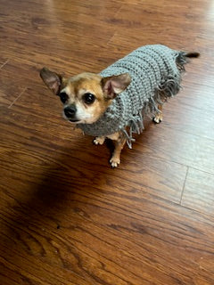 Hand Knitted Dog Poncho