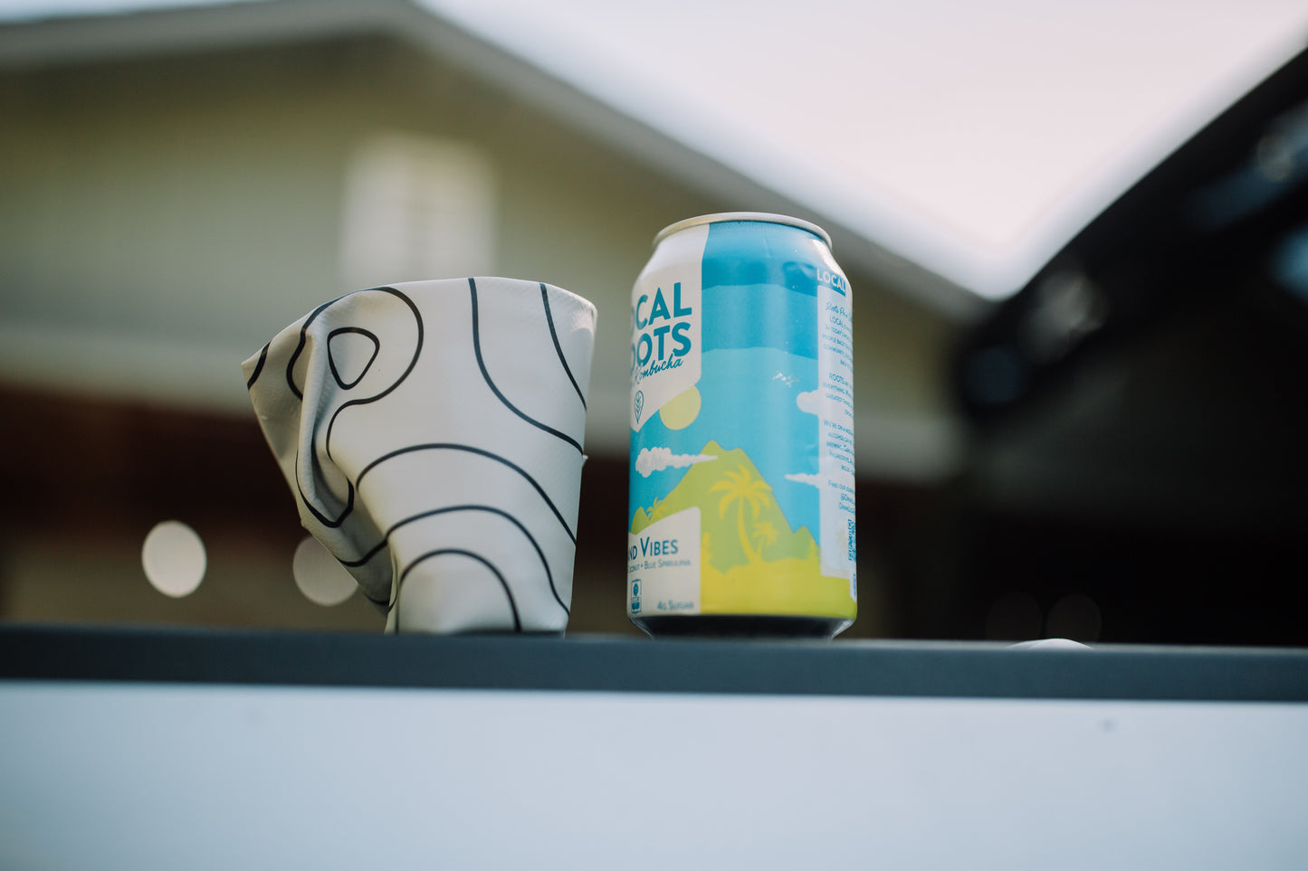 Pumpkin Peanut Butter Dog Treats