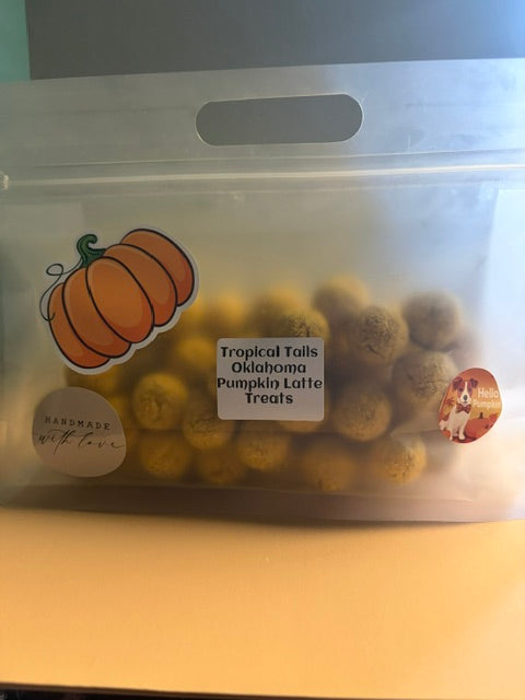 Pumpkin Latte Treats