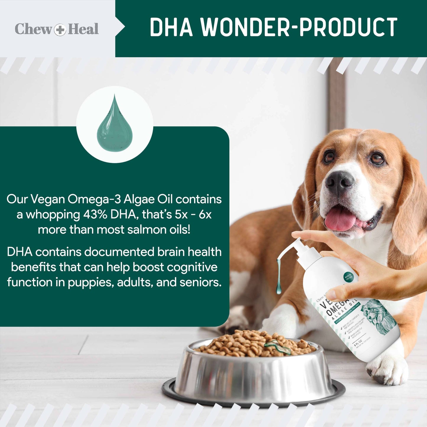 Vegan Omega-3 Skin and Coat Supplement for Dogs with Pump: 4 Ounce