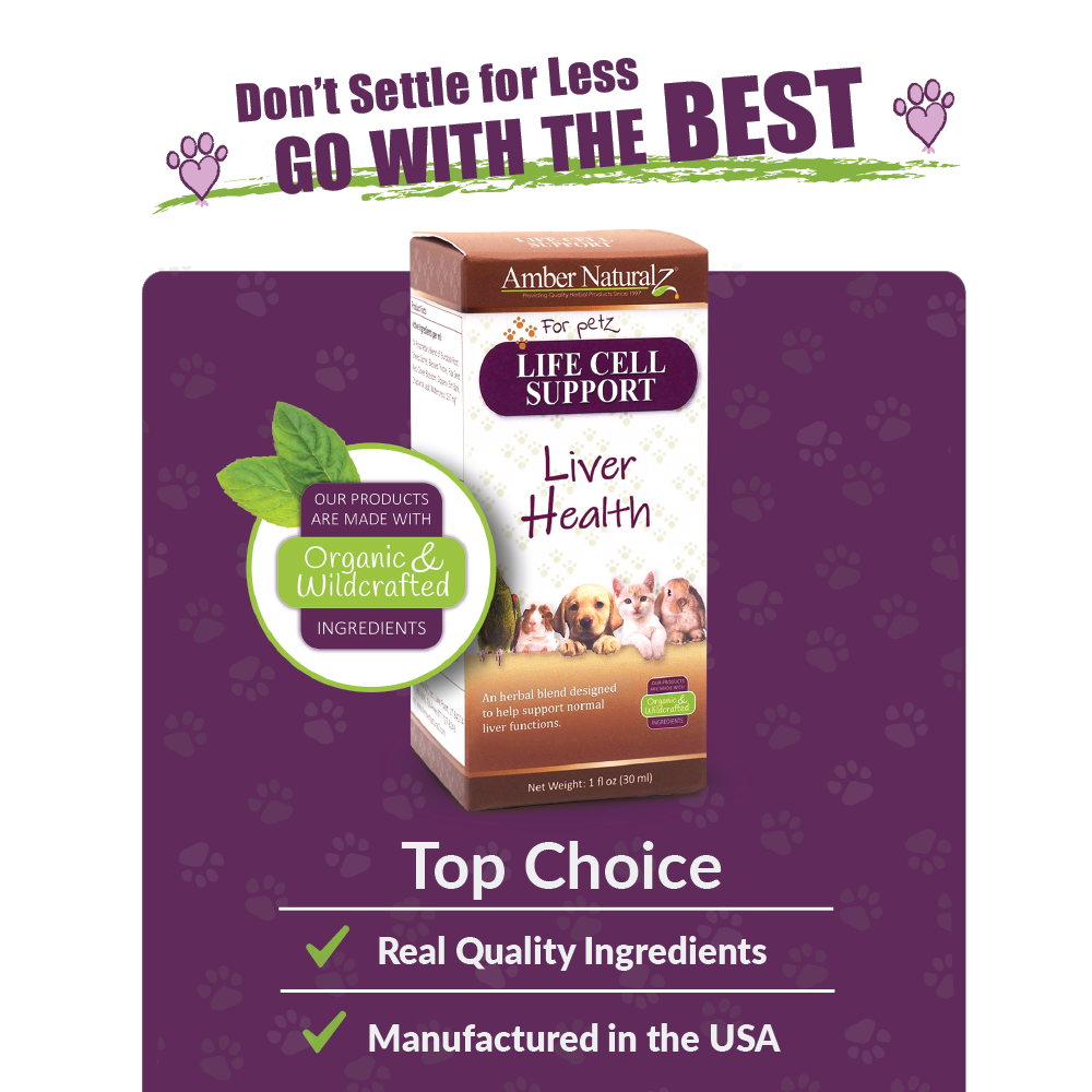 Life Cell Support | Pet Supplement: 1oz