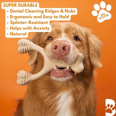 BetterBone Hard Classic Dog Chew Toy Small