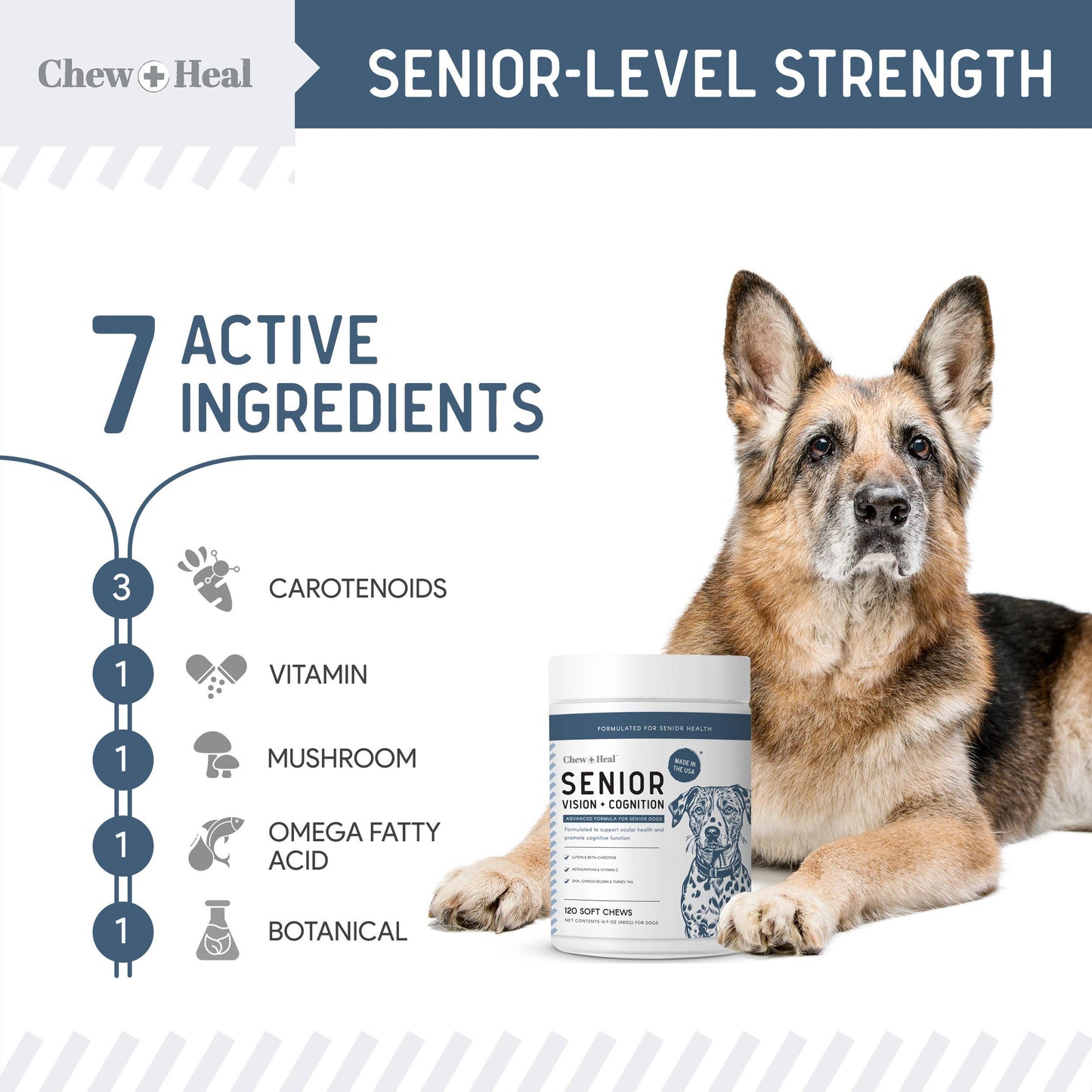 Advanced Senior Vision + Cognition Soft Chews for Dogs: Large