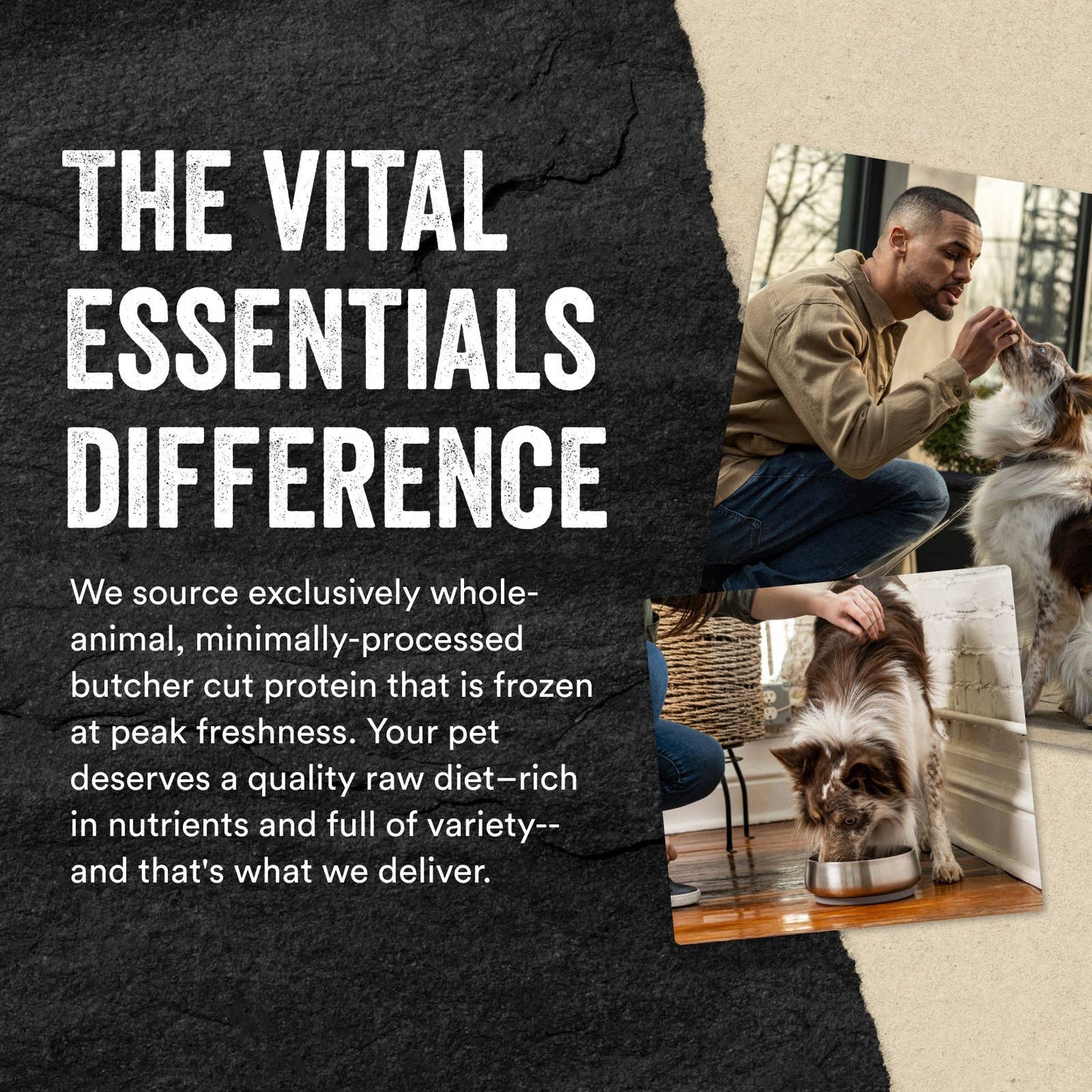Vital Essentials Freeze-Dried Raw Chicken Necks Dog Treats