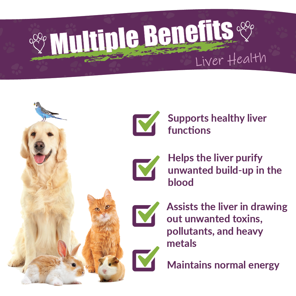 Life Cell Support | Pet Supplement: 1oz