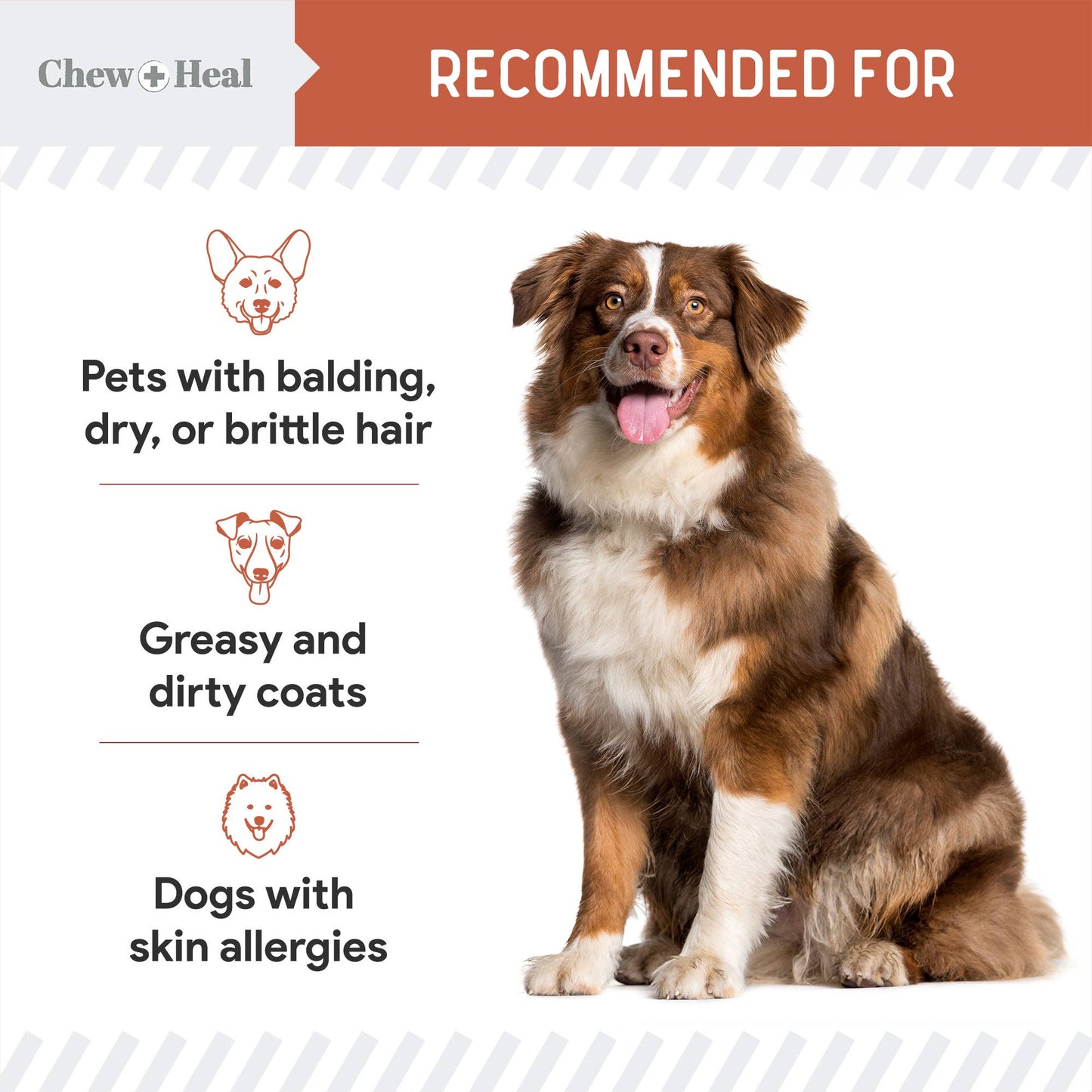 Salmon Flavored Omega Skin + Coat Soft Chews, 180 Count