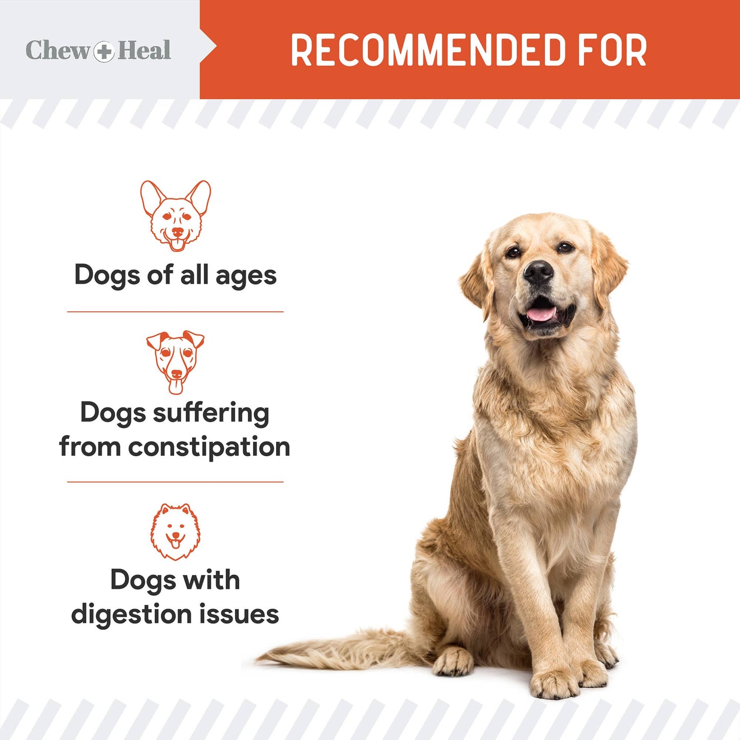 Organic Pumpkin Powder Blend, Digestive Defense for Dogs: 4oz