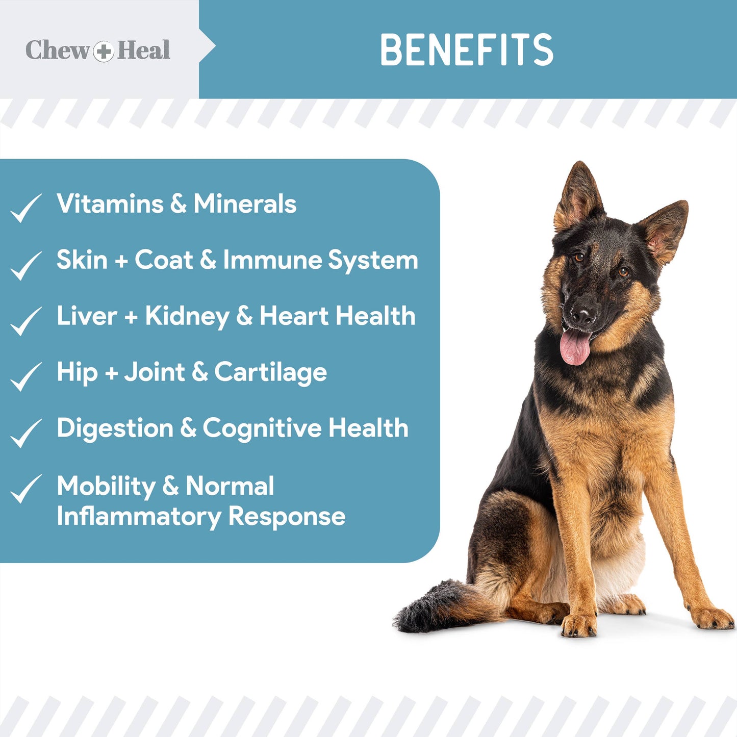 Daily 12-In-1 Multivitamin Powder for Dogs : Large