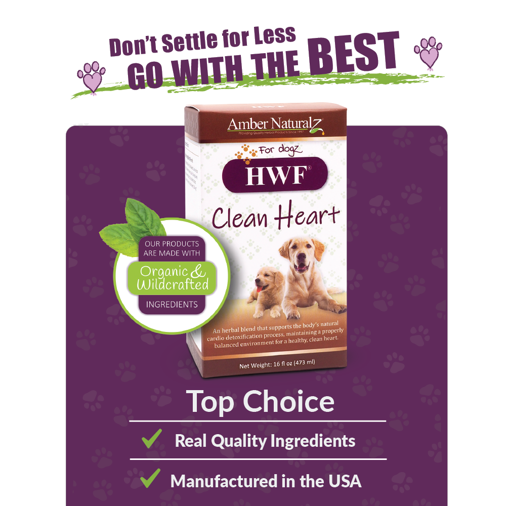 HWF | Dog Supplement: 4oz