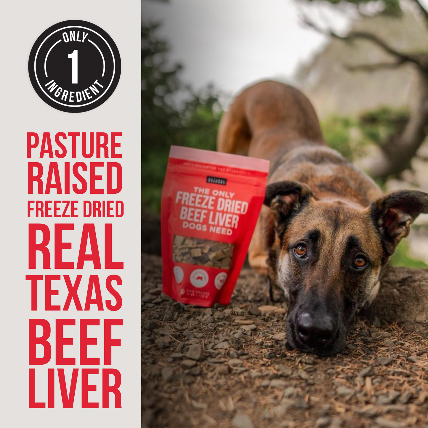 The Only Freeze Dried Beef Liver Dogs Need: 8 oz bag