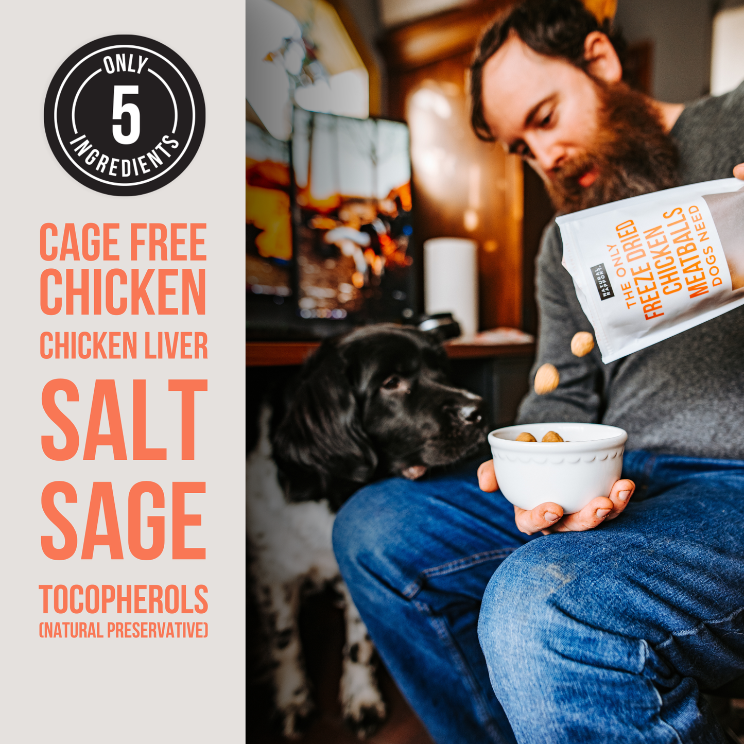 The Only Freeze Dried Chicken Meatballs Dogs Need