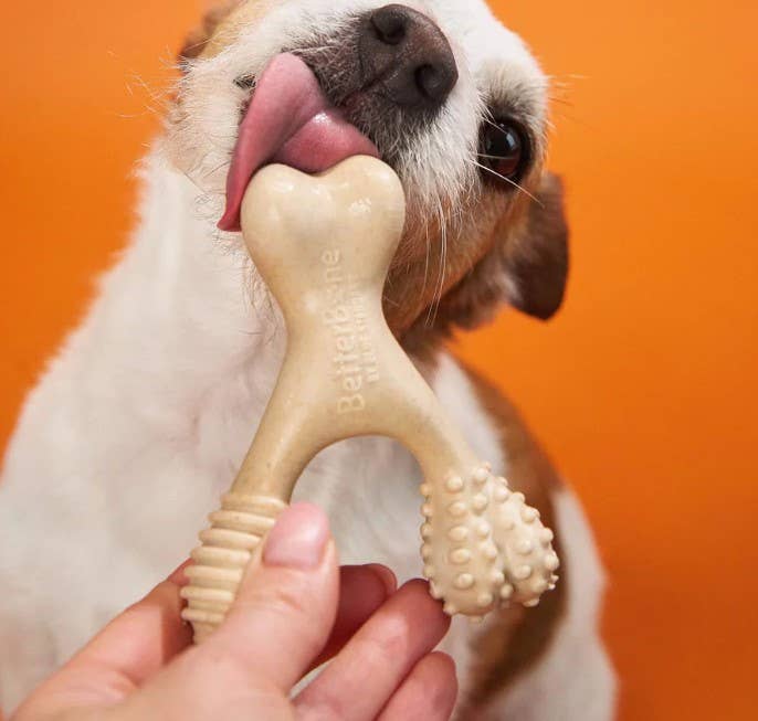 BetterBone Medium Beef Dog Chew Toy Large