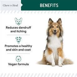 Vegan Omega-3 Skin and Coat Supplement for Dogs with Pump: 4 Ounce
